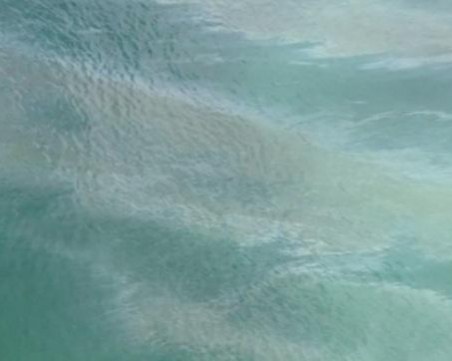 Забелязаха 50-километров нефтен разлив в морето