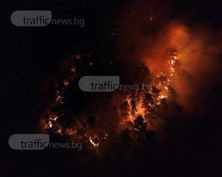 Мащабът на бедствието в гората над Карлово СНИМКИ от ДРОН+ВИДЕО