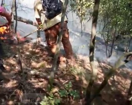 В епицентъра на пожара на 60 км от Пловдив - с търмъци, пръскачки и пеша ВИДЕО