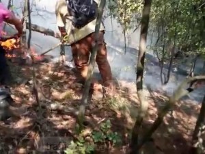 В епицентъра на пожара на 60 км от Пловдив - с търмъци, пръскачки и пеша ВИДЕО