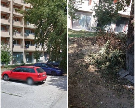 Инспектират фирмата изпълнител, оставила си ръцете по улица в Кършияка СНИМКИ