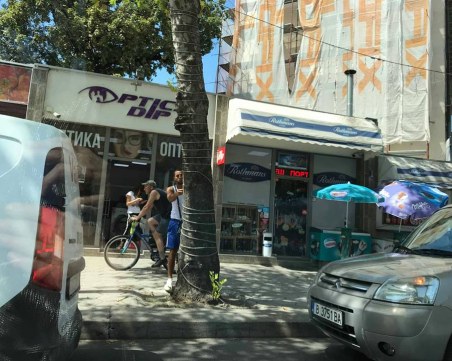 Мъж налепи дърветата в Пловдив, очаква го солена глоба СНИМКИ