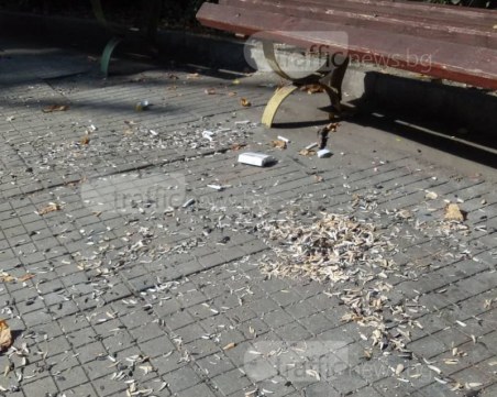 Пловдивски граждани показаха, че 