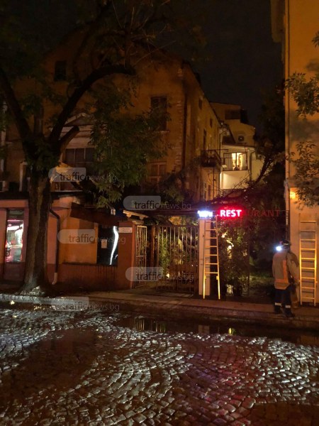 Огромен клон се стовари върху ресторант в центъра на Пловдив СНИМКИ