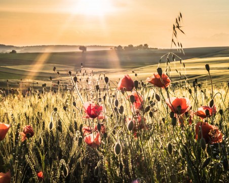 Месечен хороскоп за септември 2018