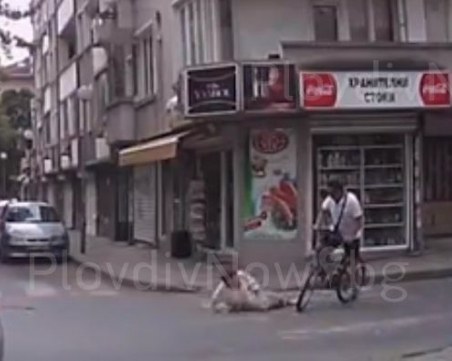 ВИДЕО показва лицето на колоездача, прегазил пловдивчанка! Познавате ли го?