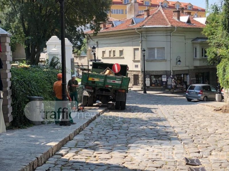 Камион на “Градини и паркове“ кацна на тротоар в Стария град! СНИМКИ