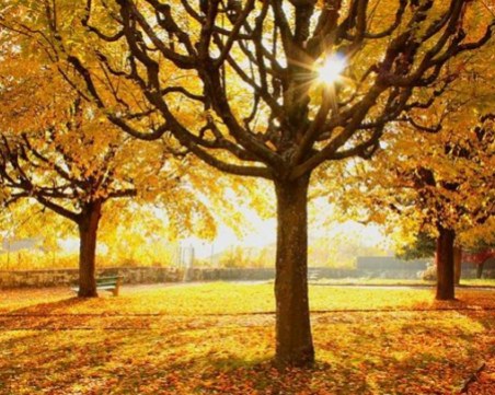 НОАА: нормална есен, но много мека зима