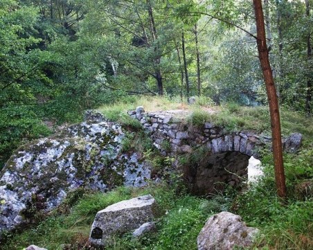 Вече 2 месеца няма нито вест, нито кост от мистериозно изчезналия гъбар от доспатско село