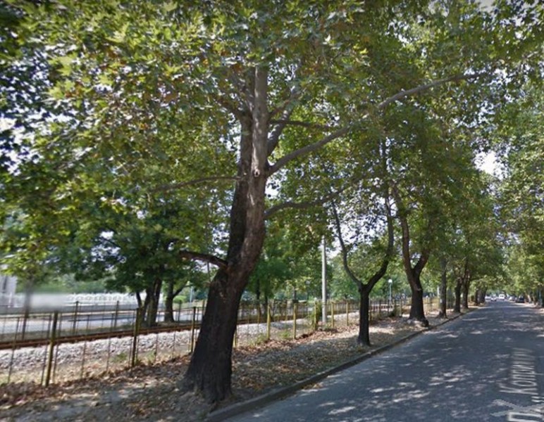 Участък от голям булевард в Пловдив става еднопосочен СНИМКИ