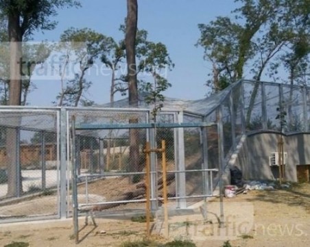 Тотев за зоопарка: Общината категорично не е ощетена, там се прави нещо прекрасно