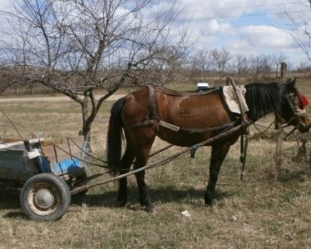 5-годишно дете е с опасност за живота след падане от каруца