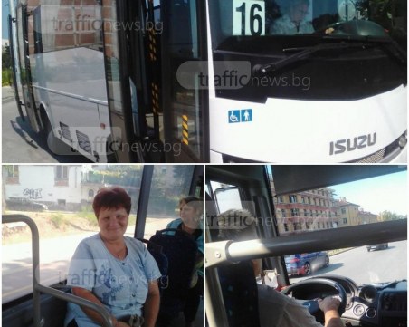 Муха да кацне, ще направи шпагат в пловдивски автобус СНИМКИ