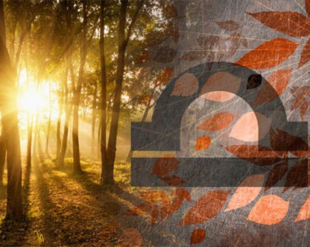 Най-точният хороскоп за месец септември