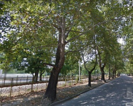 Пловдивчанин с бурен протест: Еднопосочното движение на “Копривщица“ ще доведе до жертви