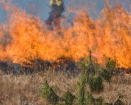Пожар гори в района на летище “Пловдив“