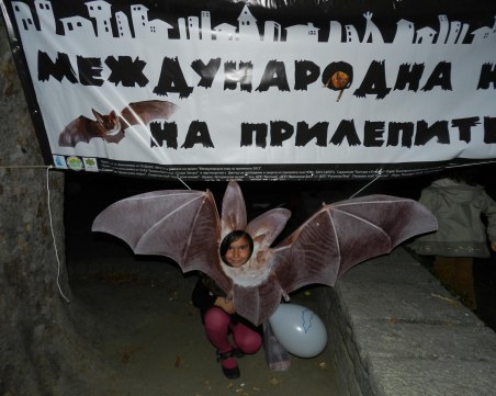 Нощ на прилепите в Пловдив! Малки и големи ще подслушват животните с детектори