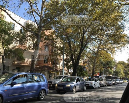 В цял Пловдив през септември: Псуване, клаксони и здрави тапи СНИМКИ
