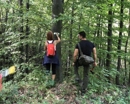 Две нови екопътеки до хижа Руен ще зарадват любителите на природата СНИМКИ