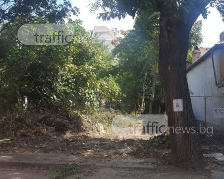 Екшънът в центъра на Пловдив, вдигнал накрак полицията, се оказа люта битка между съседи СНИМКИ