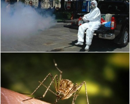 И на прага на есента комарите в Пловдив не отстъпват