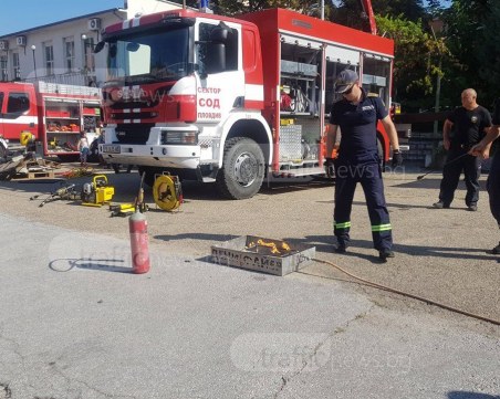 Кобра на дърво в Пловдив, алигатор във вана - най-забавните случаи на пловдивските пожарникари