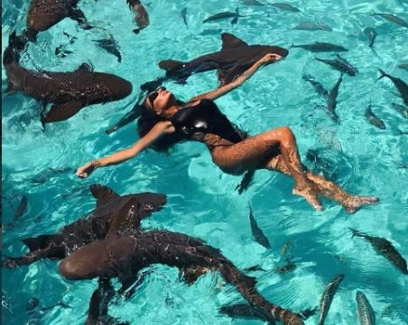 В компанията на стотици акули Николета Лозанова разпуска на Бахамите СНИМКИ