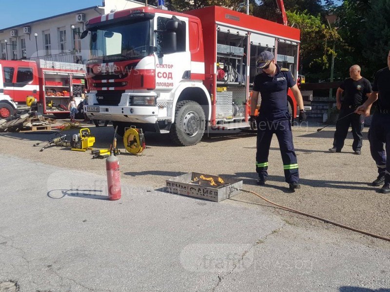 Кобра на дърво в Пловдив, алигатор във вана - най-забавните случаи на пловдивските пожарникари