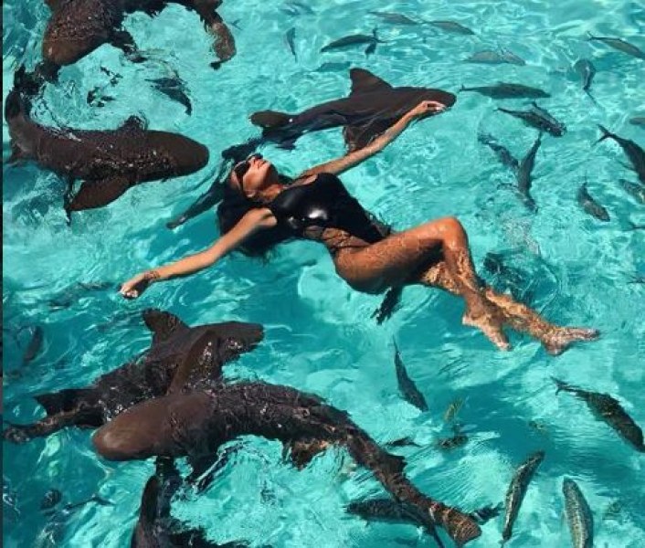 В компанията на стотици акули Николета Лозанова разпуска на Бахамите СНИМКИ