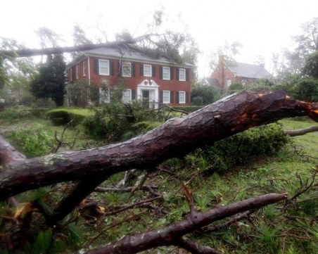 Дърво уби майка и бебе заради урагана Флорънс! СНИМКИ от бедствието