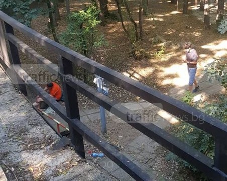 Мъже се боцкат пред погледите на деца на Младежкия хълм в Пловдив СНИМКИ