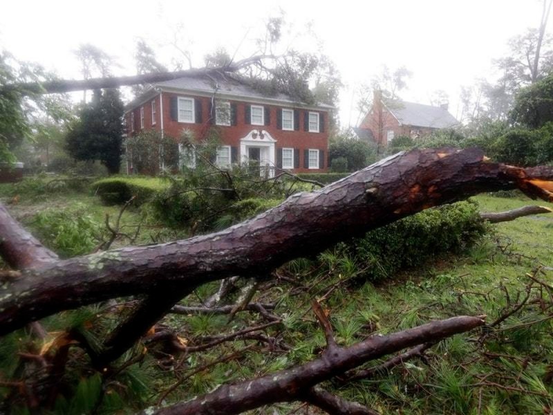Дърво уби майка и бебе заради урагана Флорънс! СНИМКИ от бедствието