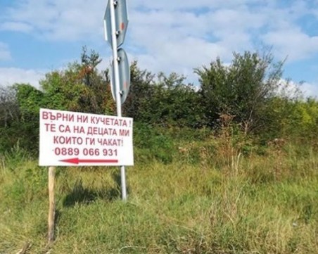 Анонимен е върнал откраднатите кучета! Децата - отново щастливи