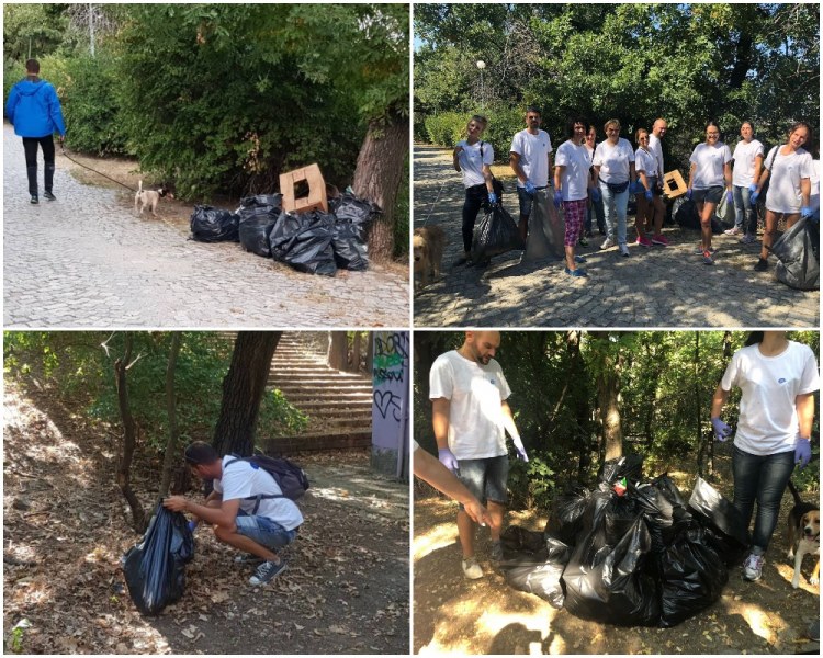 Пловдив стана “по-лек“ с 280 тона боклук СНИМКИ