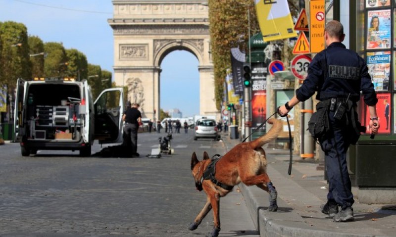 Страх в Париж! Куче и робот за проверка на съмнителна кола до Триумфалната арка