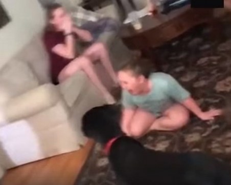 Родители разплакват децата си, карат ги да треперят от ужас и... публикуват ВИДЕОТО в мрежата
