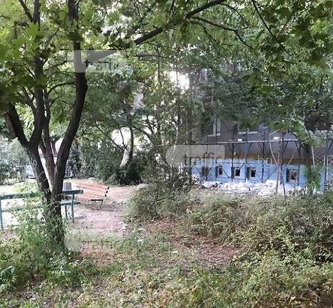 Ново градско сметище изникна около жилищен блок в Пловдив след санирането му СНИМКИ