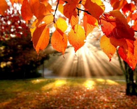 Последният летен ден идва със слънце! Градусите днес достигат 31°C