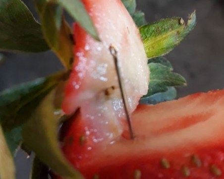 В Австралия зачестяват случаите на скрити игли в плодове