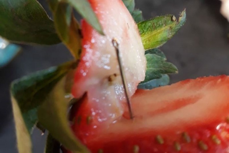 В Австралия зачестяват случаите на скрити игли в плодове