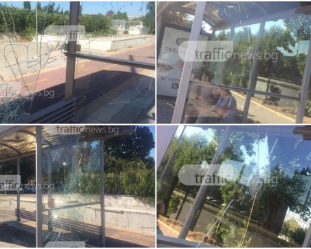 Изпотрошена спирка дебне за жертви пред Централни гробища СНИМКИ