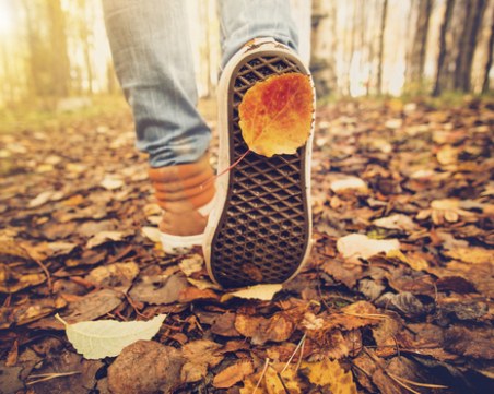 Природни начини за зареждане с енергия през целия ден