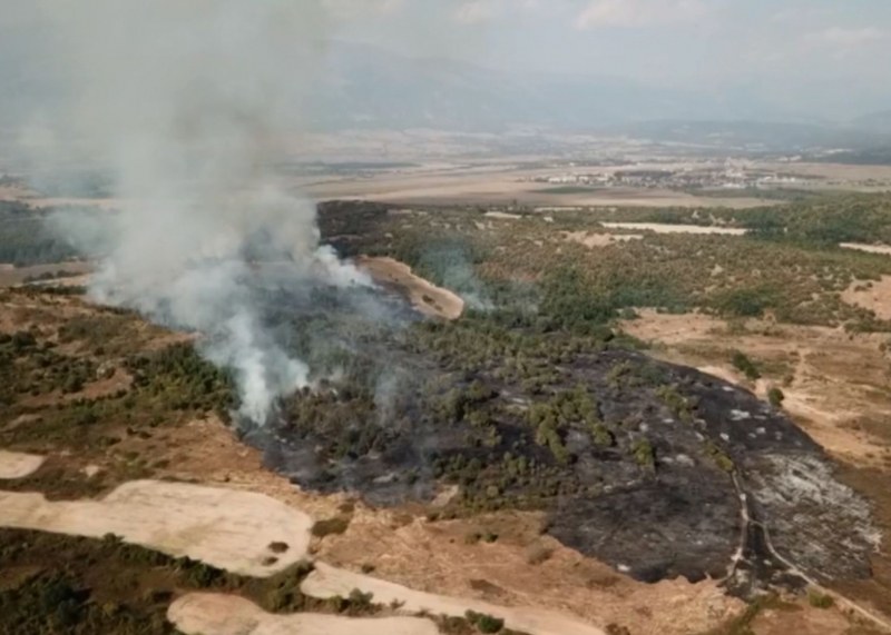 Голям пожар бушува в Пловдивско ВИДЕО