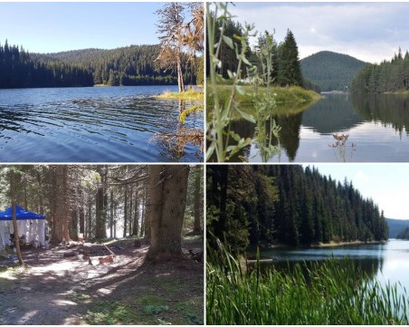 Само на 80 км от Пловдив се намира царството на пъстървите и живописните язовири