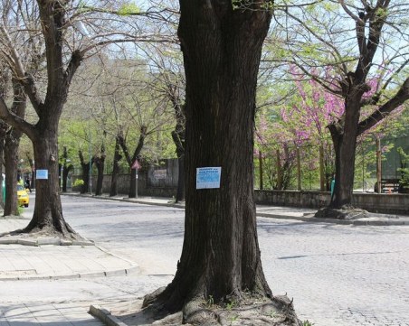Нескопосан акт отмени солена глоба на частна бърза помощ в Пловдив