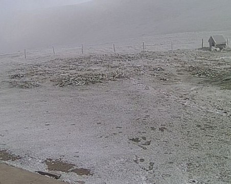 Първи сняг падна и у нас СНИМКИ