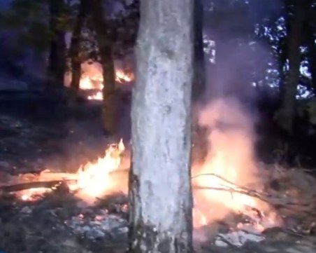 Пожарът край село Дренково достигна до 500 метра от къщите