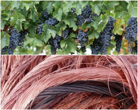 Кражби на едро: Двама “набраха“ 43 кг медни кабели от фабрика, а жена - 30 кг грозде