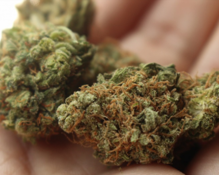 Международното летище в Лос Анджелис разреши марихуаната