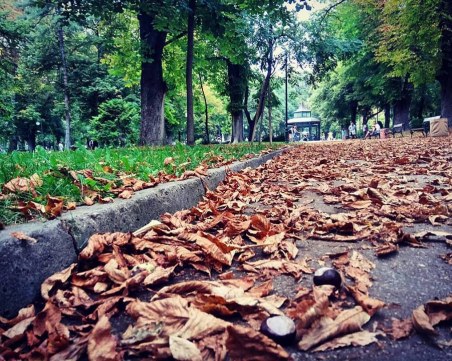 Облаци надвисват над Пловдив днес, от утре - дъжд